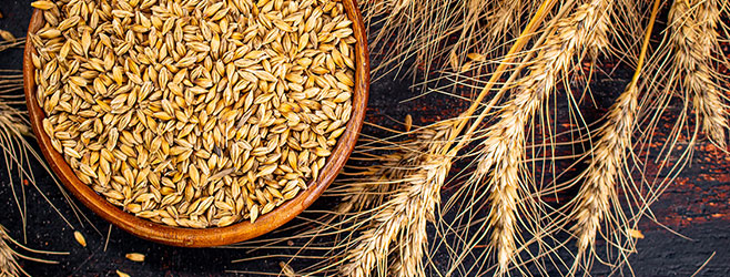 01. 최상의 재료사용