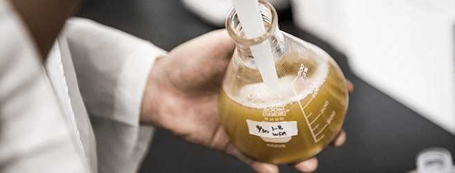 03. 수제맥주 R&D 기술