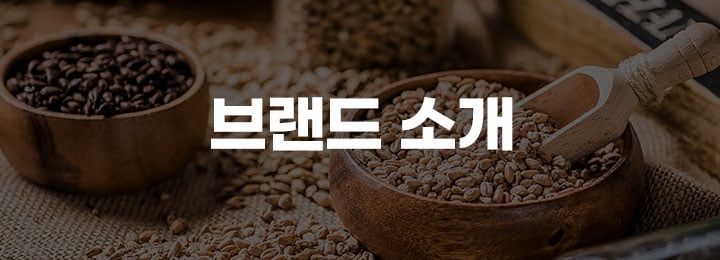 브랜드 소개 배너