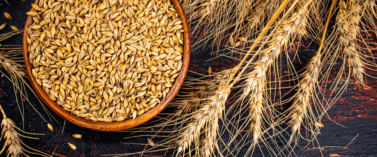 01. 최상의 재료사용