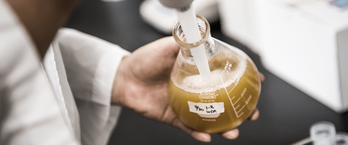 03. 수제맥주 R&D 기술