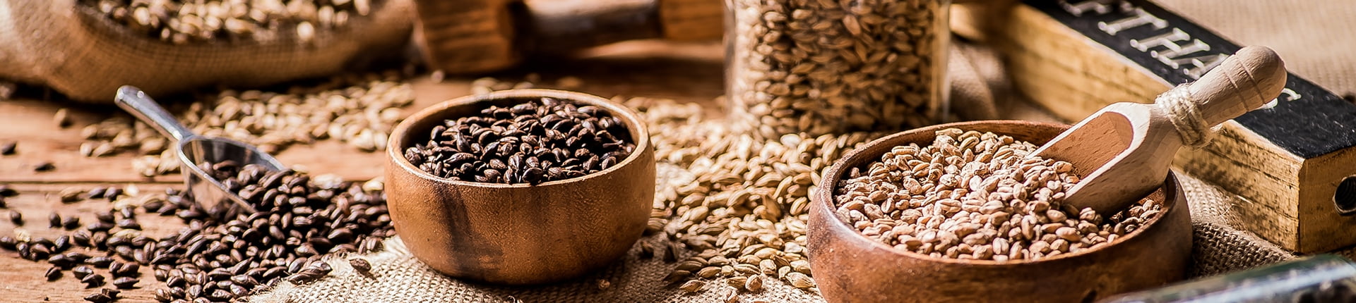 브랜드 소개 배너